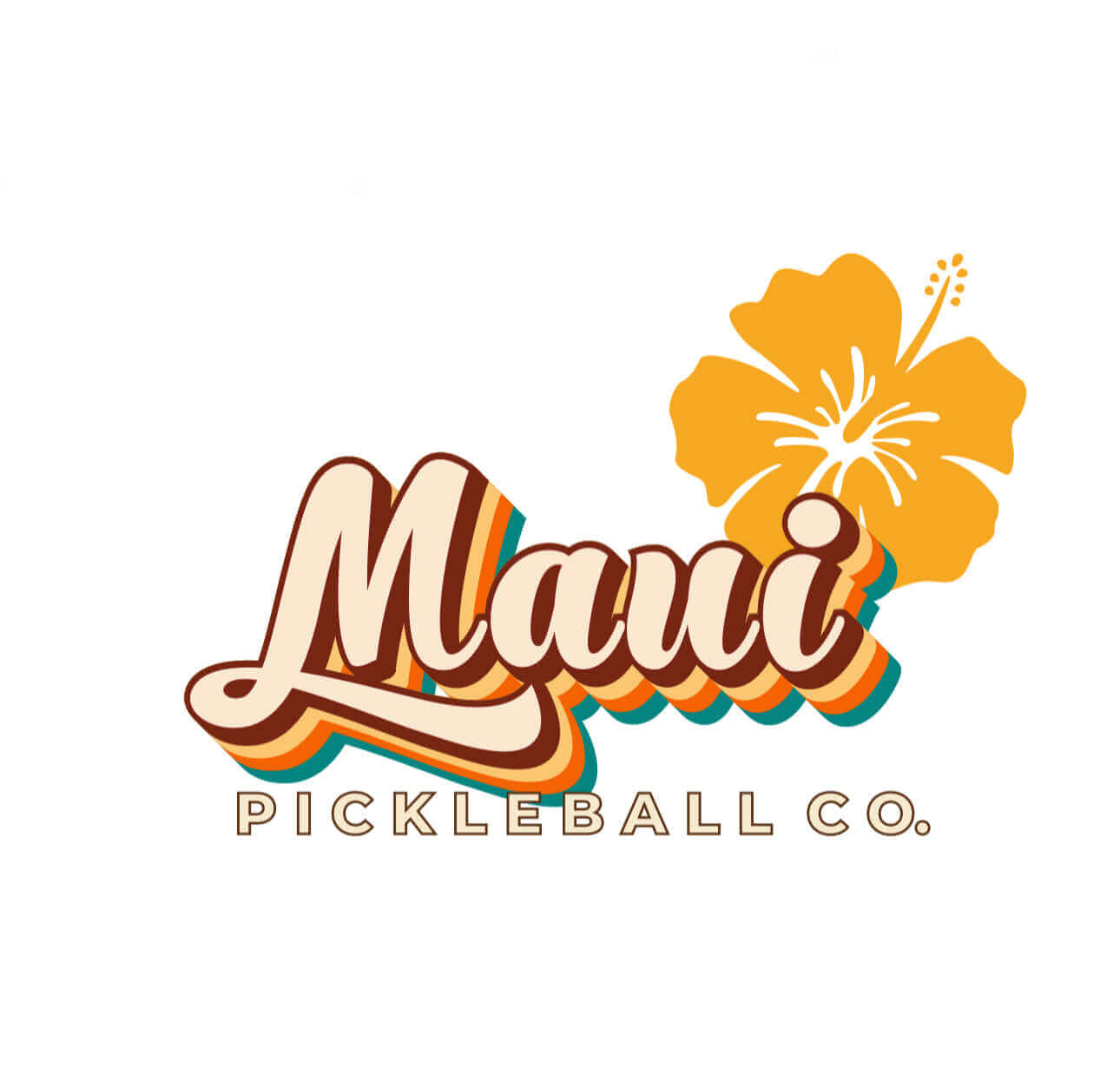 Pickleball Balls, USAPA Approved pickleball equipment, Maui Pickleball, Retro pickleball accessories, 40 hole pickleball balls, Cool Pickleball gear, pickle-ball equipment